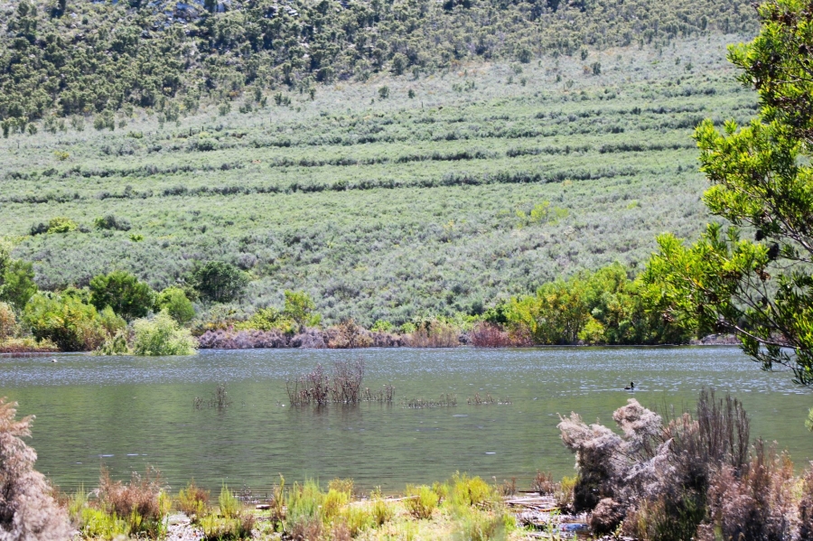 0 Bedroom Property for Sale in Uniondale Rural Western Cape